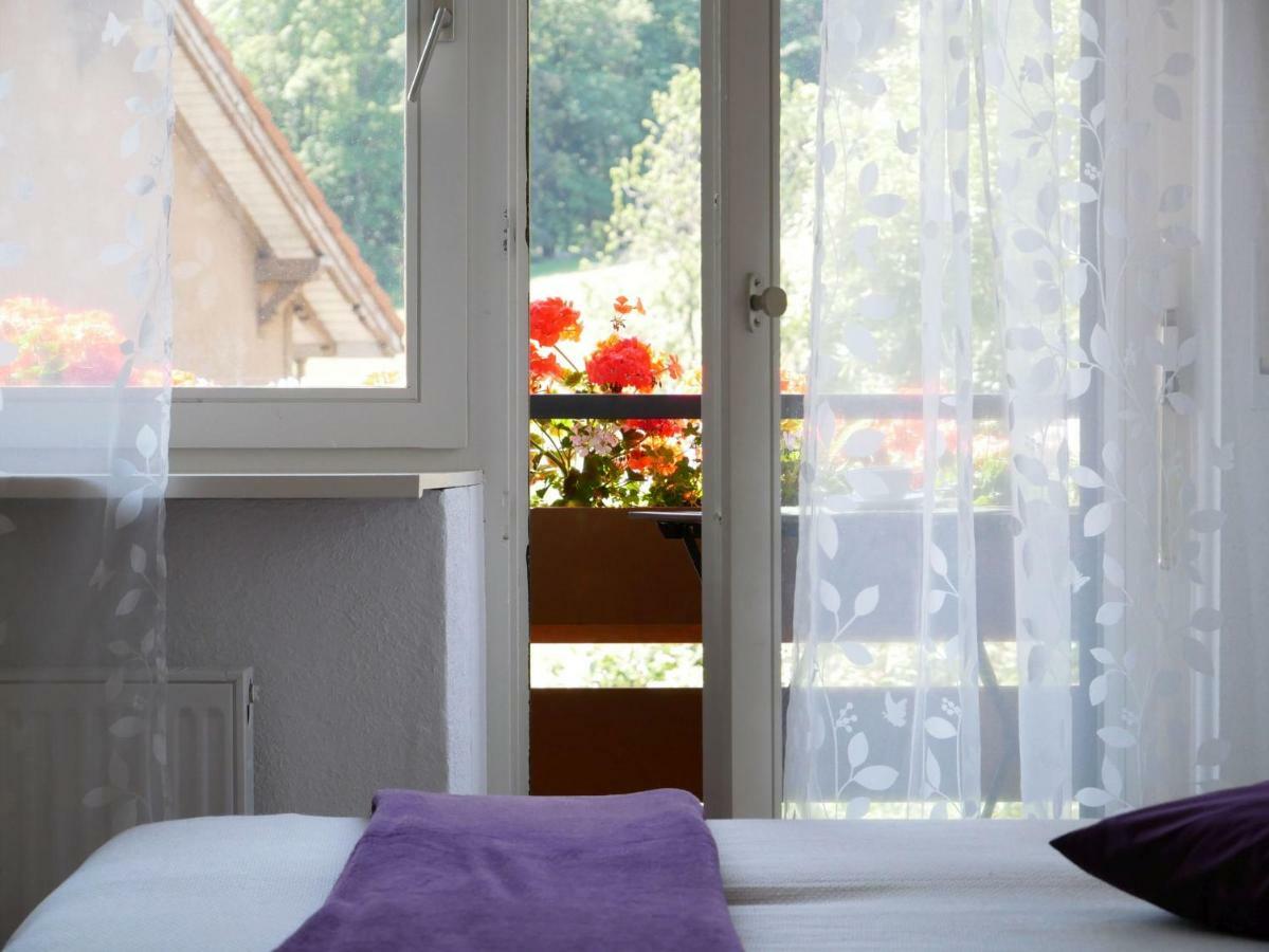 Haus Vita Ferien- Und Seminarhaus Urberg エクステリア 写真